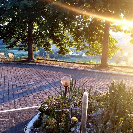 Il Mandorlo B&B Civitanova Alta エクステリア 写真